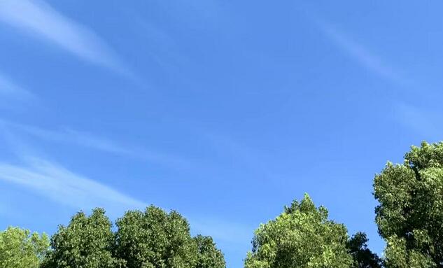 紅星照耀中國(guó)每章概括