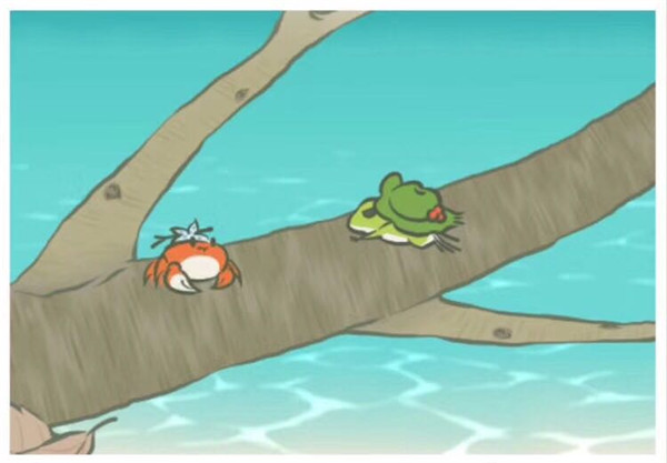 滿天星花語(yǔ)和寓意