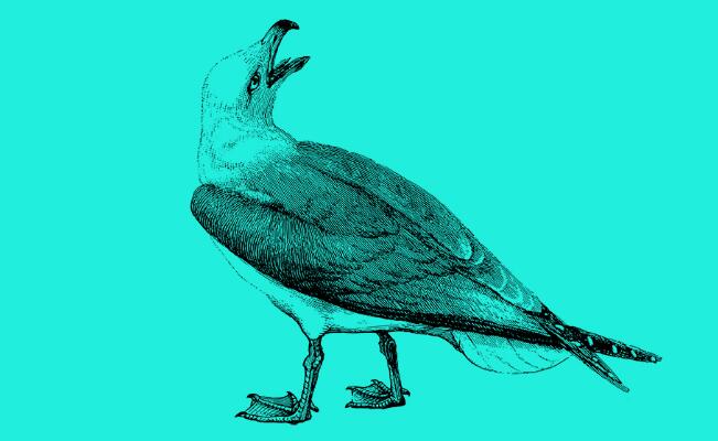 中國多重人格真實案例