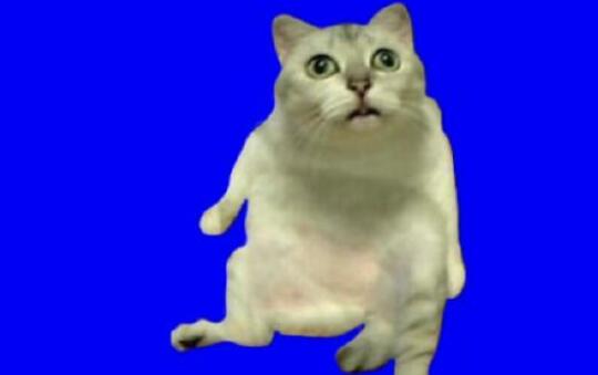 奇怪的知識(shí)增加了