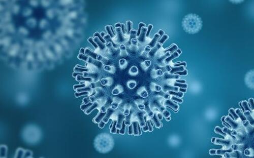 韓國(guó)N號(hào)房受害人發(fā)聲