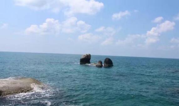 鯨落是什么意思