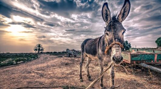 網(wǎng)逃人員到派出所問自己是不是逃犯