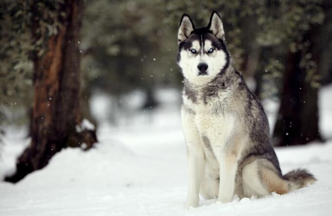 江蘇一教師讓女學(xué)生喊老公