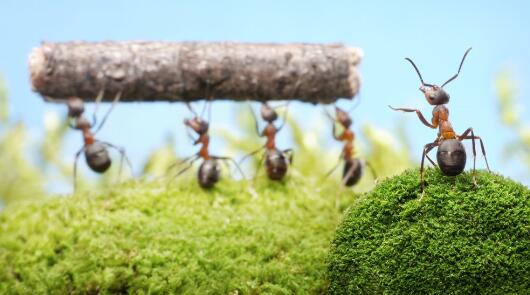 文章現(xiàn)身健身房擼鐵表情兇狠