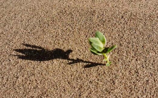 高德回應(yīng)導(dǎo)航致景區(qū)擁堵