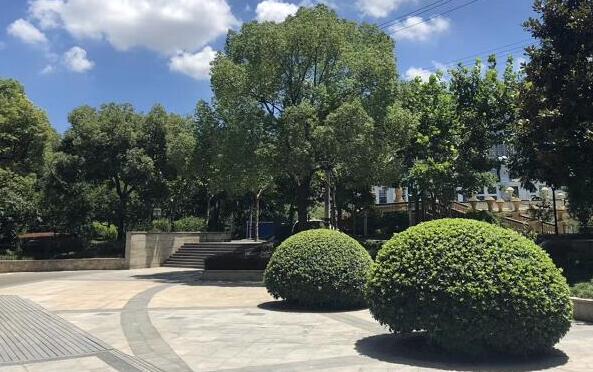 印方已向中方移交走失士兵