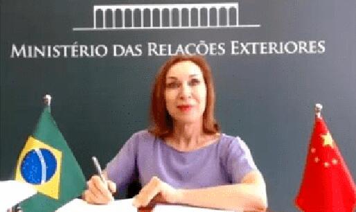 中國(guó)駐里約總領(lǐng)館遭襲事件