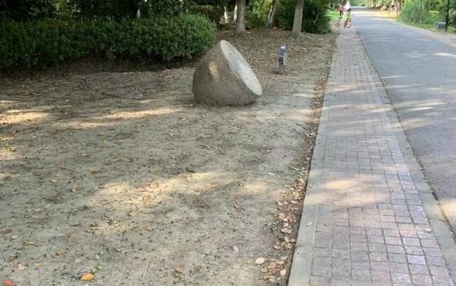 巴赫力挺中國被侮辱