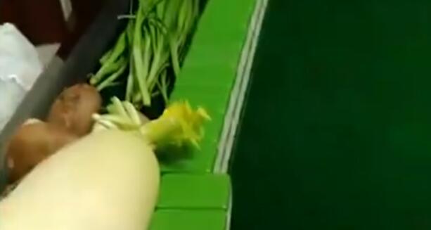 上海大叔打麻將拿蔬菜當籌碼