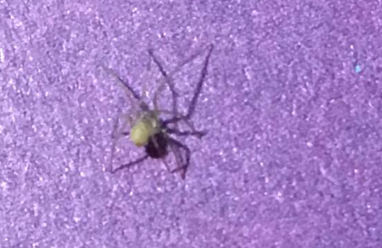 西北工業(yè)大學(xué)遭受境外網(wǎng)絡(luò)攻擊