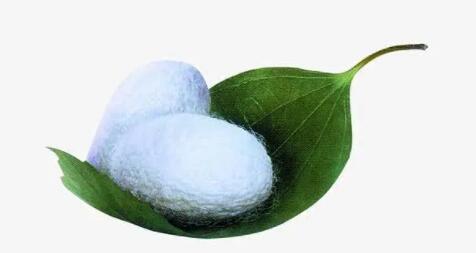 武大學(xué)子齊唱再見送別竇校長