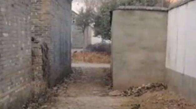 男子3年后回家發(fā)現(xiàn)巷口被鄰居占一半