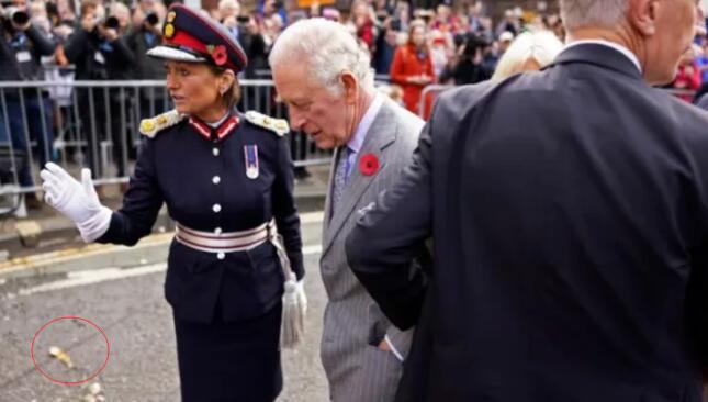 男子向英國(guó)國(guó)王丟雞蛋被罰款100英鎊