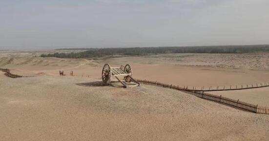 新娘主持婚禮省下萬(wàn)元