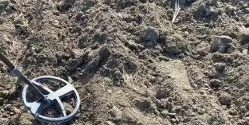 浙江一村莊突然涌現(xiàn)超多尋寶者