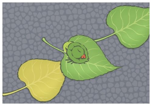 王家衛(wèi)拍繁花不準(zhǔn)辛芷蕾笑