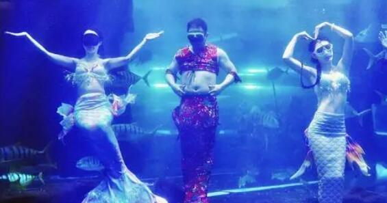 男子替班演美人魚走紅