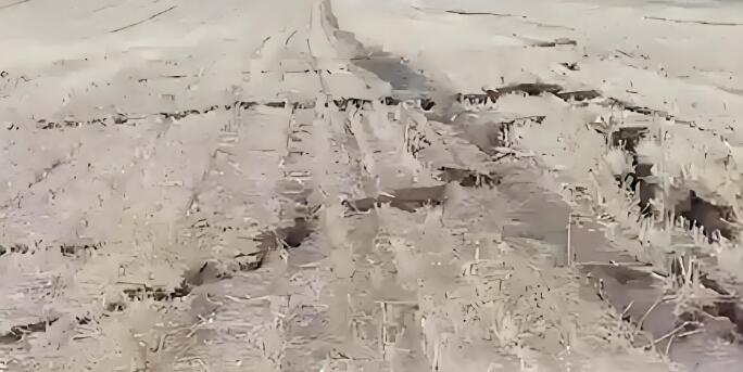 山東棗莊部分耕地不規(guī)則裂開