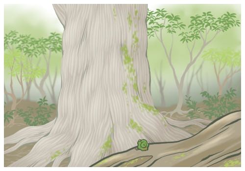 年輕人為何對換殼上癮