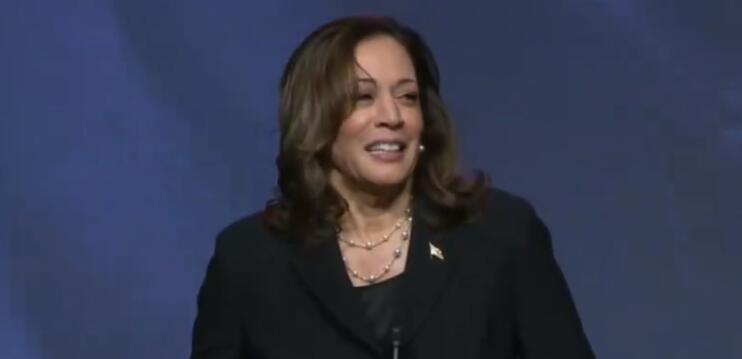 美國(guó)副總統(tǒng)哈里斯口誤稱自己為總統(tǒng)