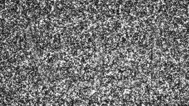 多家衛(wèi)視刪除袁冰妍相關動態(tài)