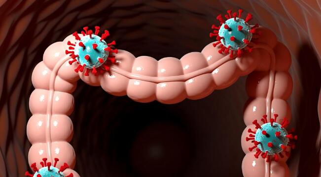 江蘇南通出現(xiàn)霍亂確診病例