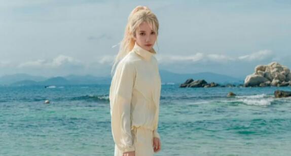 演員孫菲菲官宣離婚