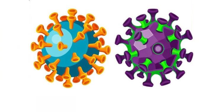 甲流和新冠哪個嚴(yán)重
